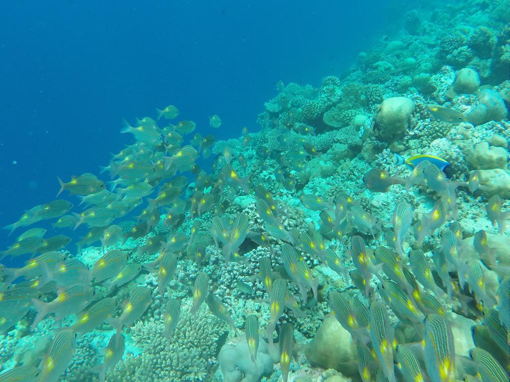 Ras Beach Inn Rasdhoo Екстериор снимка