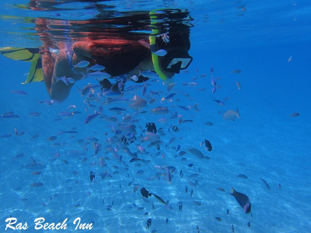 Ras Beach Inn Rasdhoo Екстериор снимка