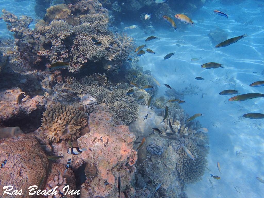 Ras Beach Inn Rasdhoo Екстериор снимка
