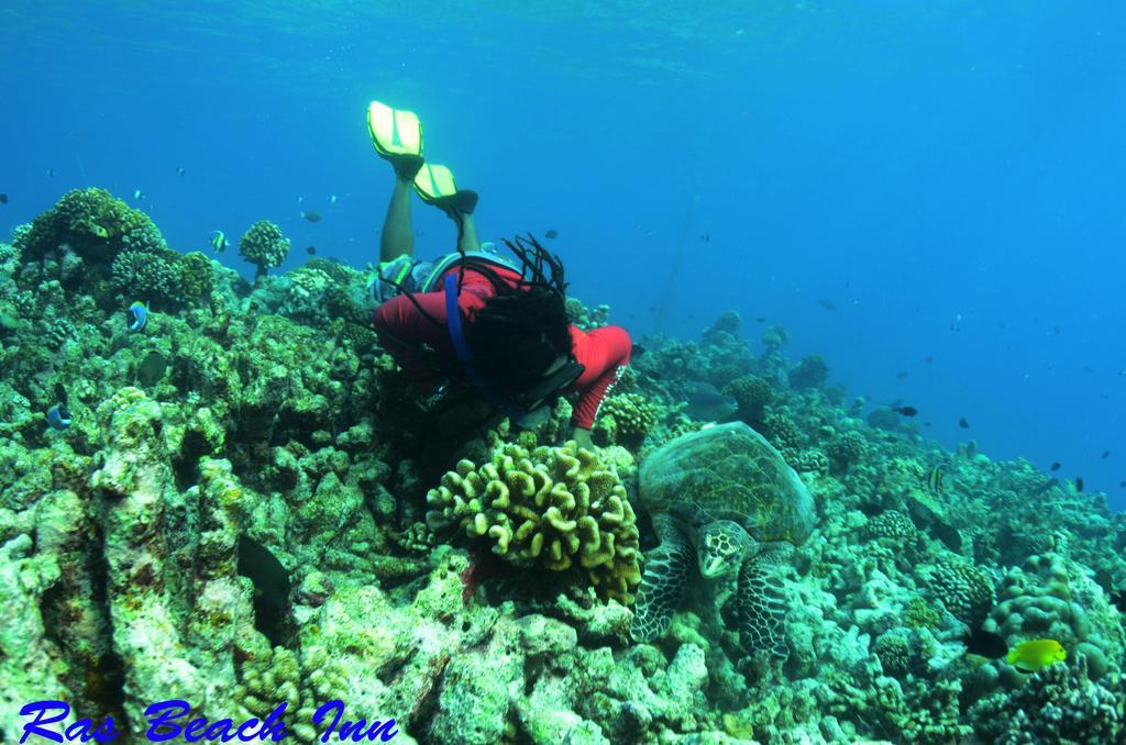 Ras Beach Inn Rasdhoo Екстериор снимка
